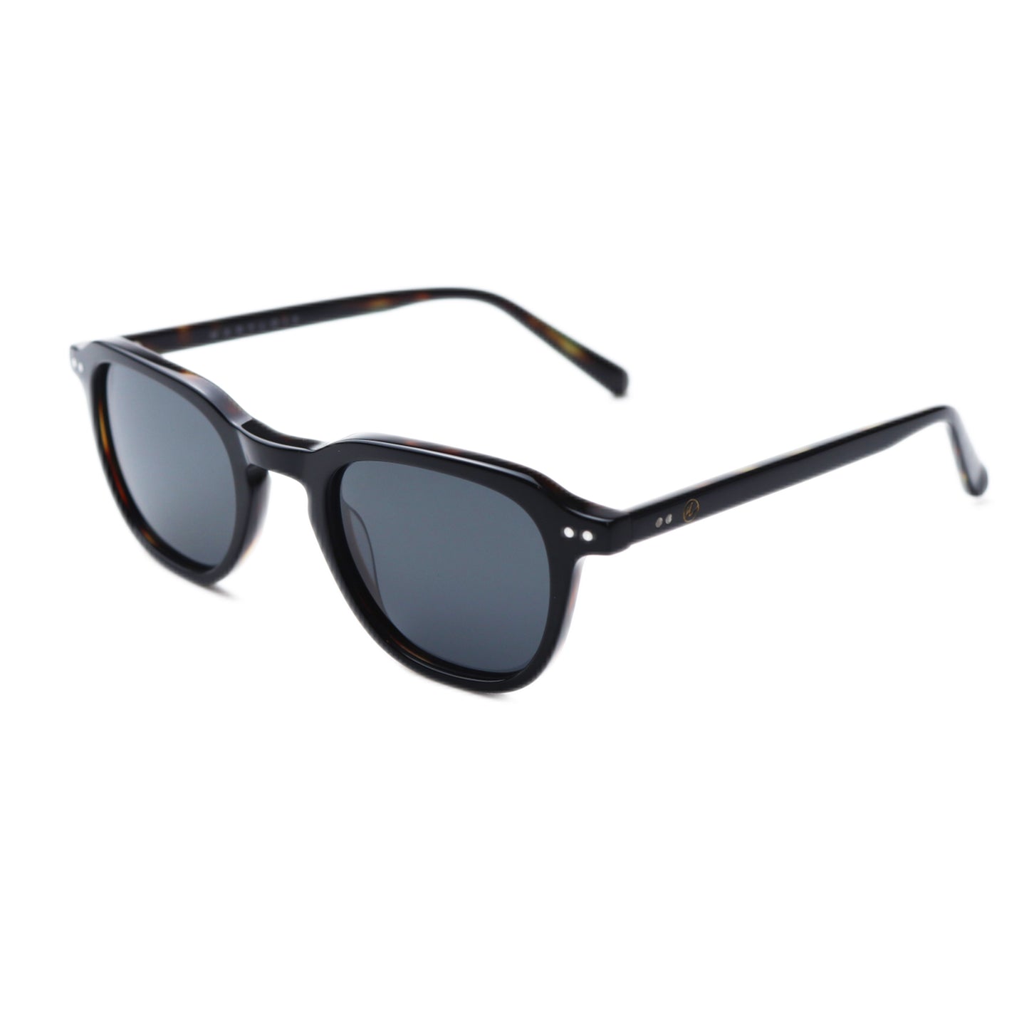 Valencia | Tortoise