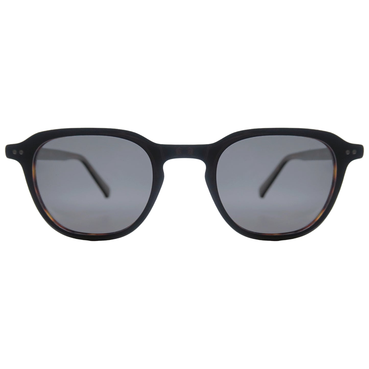 Valencia | Tortoise