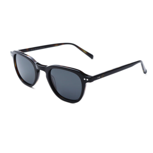 Valencia | Tortoise