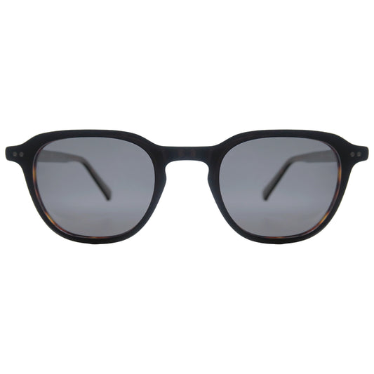 Valencia | Tortoise